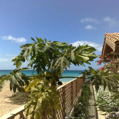 Porto Antigo Beach Front Studio thumbnail 5