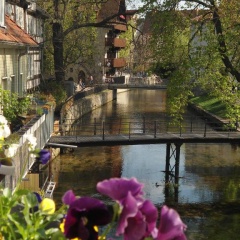 Altstadtapartment an der Krämerbrücke - Bild 10