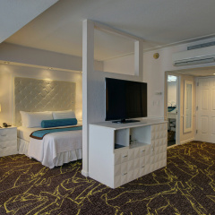 The Roslyn, Tapestry Collection by Hilton thumbnail 4