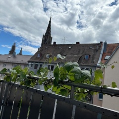 Apartment11 - Bild 30