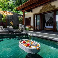 Ellena Hilltop Resort Ubud by Dhananjaya Hospitality - Bild 15