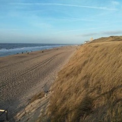 Strandperle - Bild 8