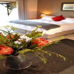 Woodlands Self Catering, Knysna thumbnail 17