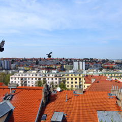 Hotel Wilhelm - Bild 16