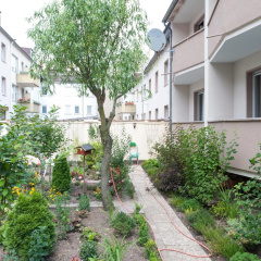 Altstadthotel Wienecke - Bild 10