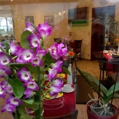 Hotel Garni - Weinhaus Arns - Bild 12
