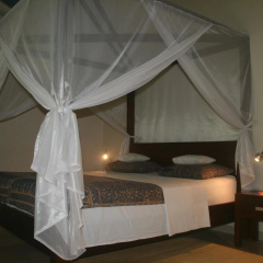 Frangipani Beach Hotel - Bild 5