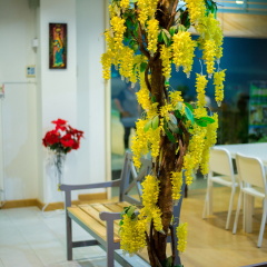 Z-Talay House - Bild 17
