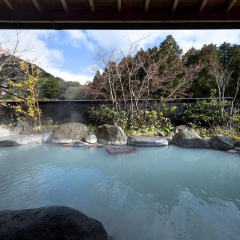 Hotel Seiunso thumbnail 33