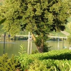 Hotel-Sonnenlay - Bild 8