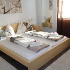 Swiss Lakeview Apartment thumbnail 5
