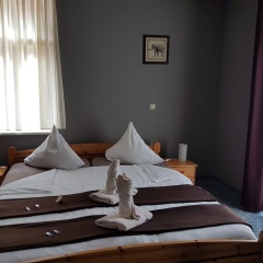 Hotel Zur Luppbode - Bild 5