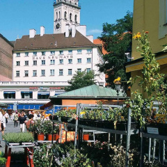 ibis München City Süd - Bild 17
