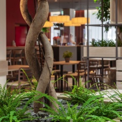 IntercityHotel Budapest - Bild 24