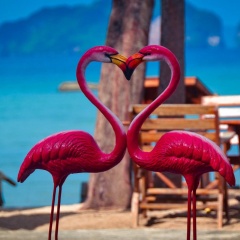 Baan Tubkaek Hotel - Bild 17