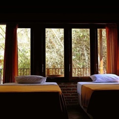 G-Land Joyo's Camp - Bild 1