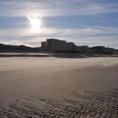 WoogeTraum - Traumwohnung mit Meerblick direkt am Strand - Bild 8