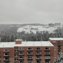 Harzperle - Bild 1