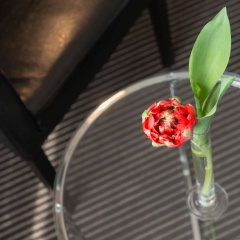 TRYP by Wyndham Wuppertal - Bild 9