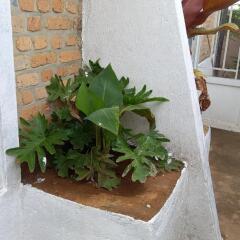 Tommy's Budget Rooms in Kigali, Rwanda from 46$, photos, reviews - zenhotels.com photo 17