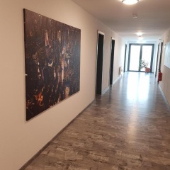 Sunnys Hotel & Residence - Bild 5