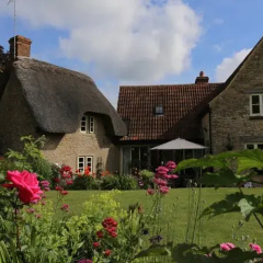 Thatch cottage thumbnail 10