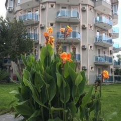 Rios Latte Beach Hotel - Bild 19