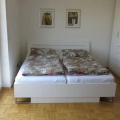 Weitblick Über Mainz - Bild 6