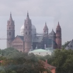 Hotel am Schlosspark - Bild 12