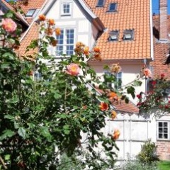 Meeresleuchten - Bild 14