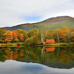 Yamaichiso thumbnail 5