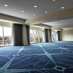 Marriott Marquis Houston thumbnail 28