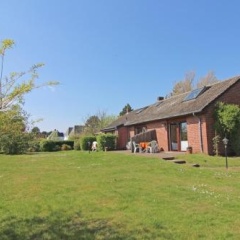 Scholle - Bild 3