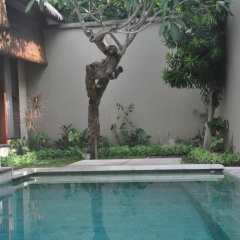 Bali Swiss Villa Hotel - Bild 16