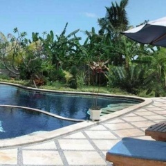 Sawah Lovina - Bild 9