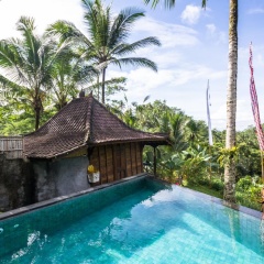 DD Ubud Villa - Bild 12