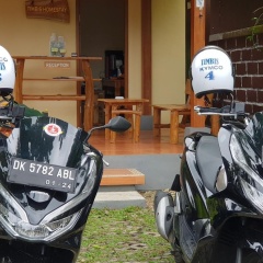 Timbis Homestay Bali - Bild 22