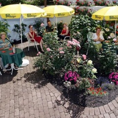 Astoria Hotel Trier - Bild 7