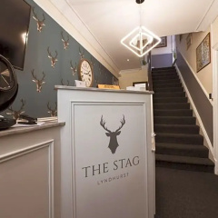 The Stag Hotel thumbnail 15