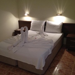 Olimpia Hotel - Bild 3