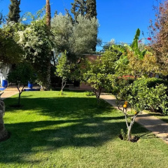 Riad Redwan - Bild 11