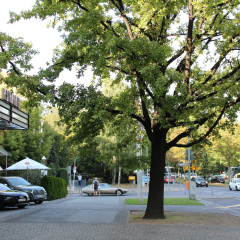 Pestana Berlin Tiergarten - Bild 30