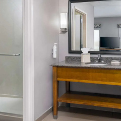 Hampton Inn & Suites Clayton/St. Louis-Galleria Area thumbnail 38