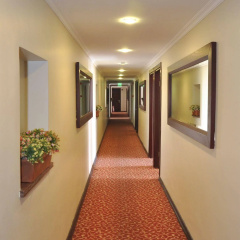 Ronax Hotel - Bild 12