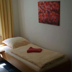 Zimmerfrei - Bild 5