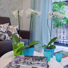 Feelathome Madrid Suites Apartments - Bild 13