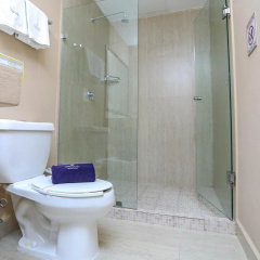 Terracaribe Hotel - In Cancun (Downtown Cancun) - Bild 8