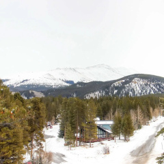Mark IX By Peak Property Management thumbnail 10