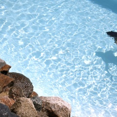 Hotel Marinca & Spa thumbnail 27