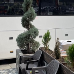 Otel Palan - Bild 10